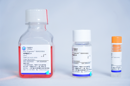 NGC Organoid®胰腺癌类器官培养试剂盒